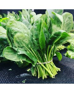 Organic Spinach