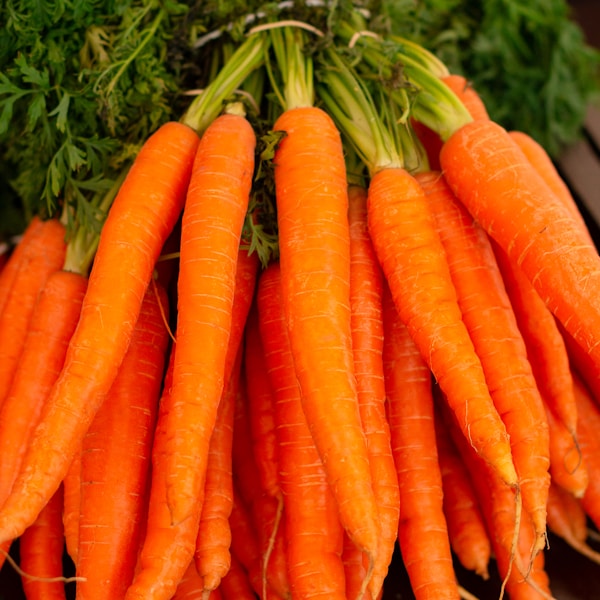 Organic Baby Carrots